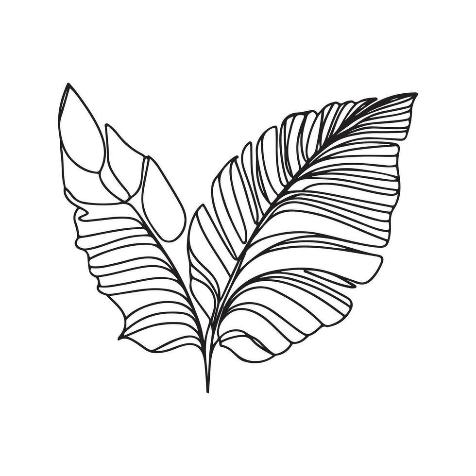 estetisk dekorativ linje konst illustration av blad, blommig vektor