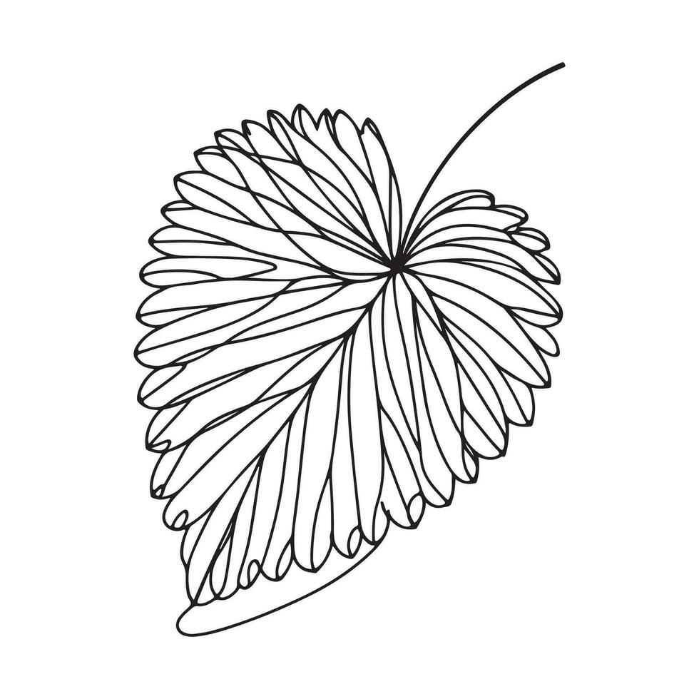 ästhetisch dekorativ Linie Kunst Illustration von Blatt, Blumen- vektor