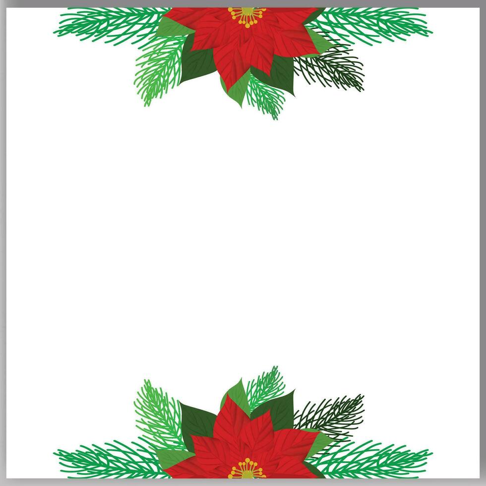 Vektor Weihnachten Baum Geäst und rot Weihnachtsstern Blume im ein Urlaub Linie Anordnung auf ein Weiß Hintergrund