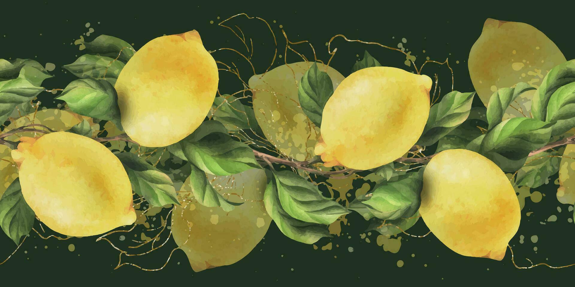 citroner är gul, saftig, mogen med grön löv, blomma knoppar på de grenar, hela. vattenfärg, hand dragen botanisk illustration. sömlös gräns på en mörk grön bakgrund vektor