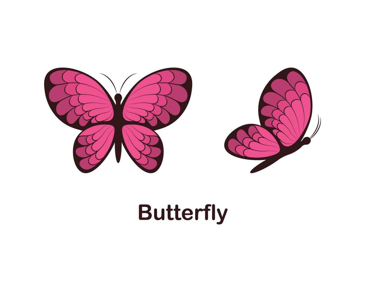 Schmetterling. Schmetterling Bild, oben Aussicht und Seite Sicht. süß Karikatur Schmetterling. Vektor Illustration isoliert auf ein Weiß Hintergrund