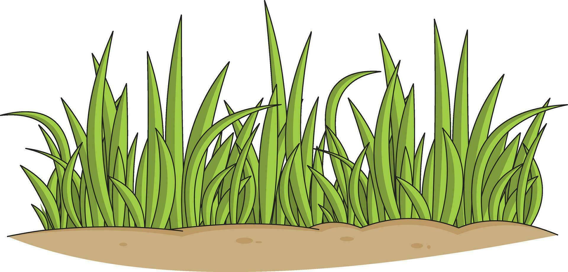 Gras Vektor Illustration mit ein isoliert Hintergrund