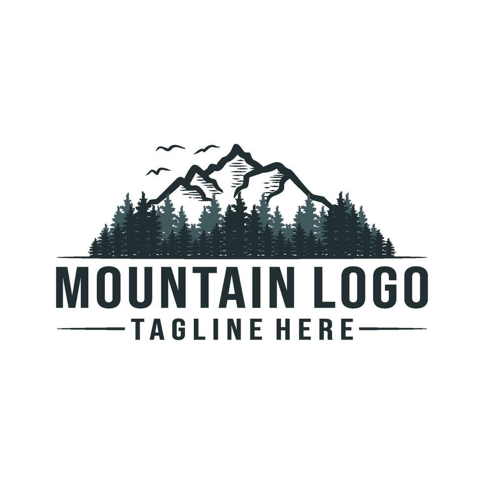 Berg Emblem Logo. Natur und Berge Design Camping, Abenteuer und draussen Veranstaltungen vektor