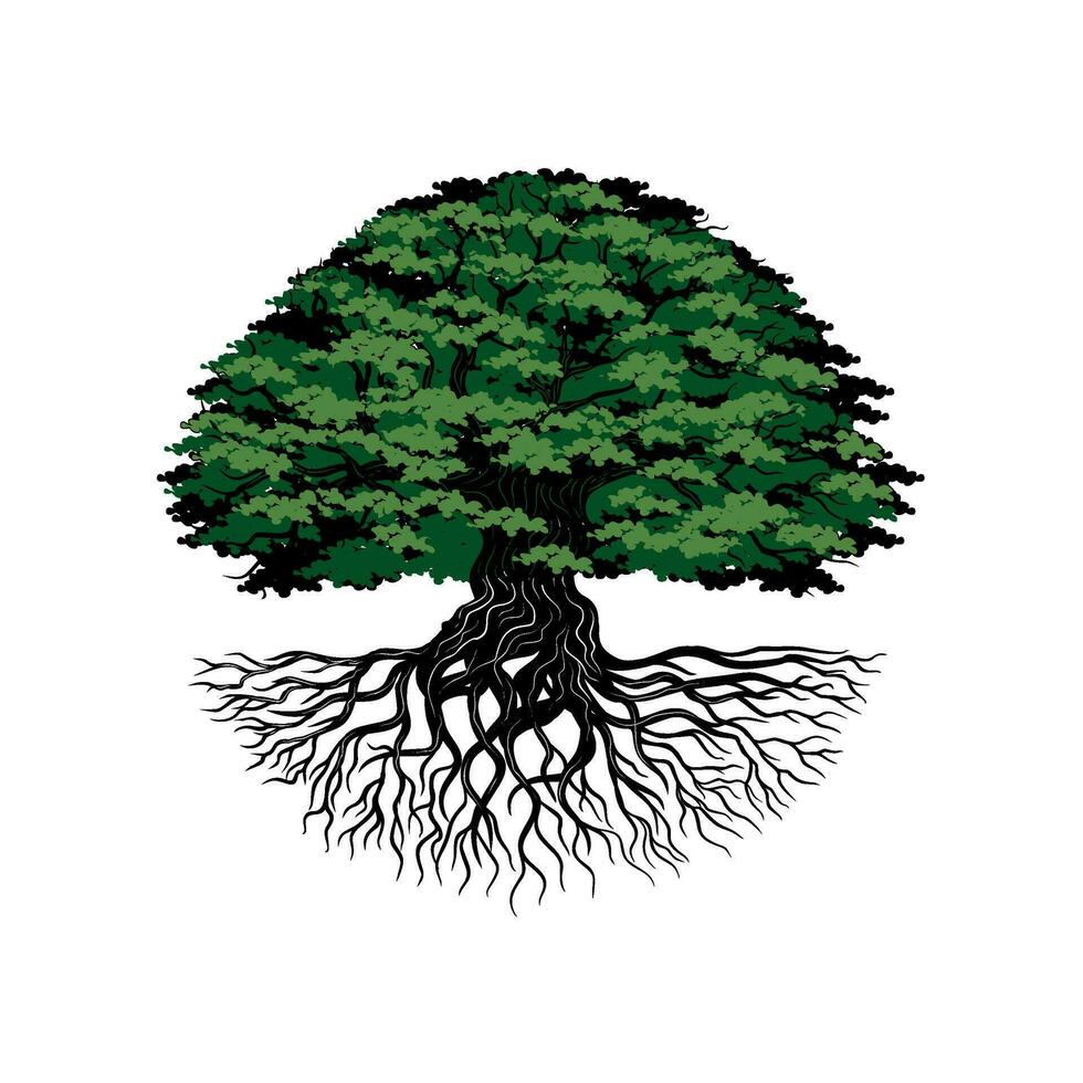 Jahrgang Vektor Baum Wurzel Logo. Konzept von groß Baum mit Wurzeln. Konstruktion Design, Gehäuse, Ausbildung, Gesundheit und Andere.