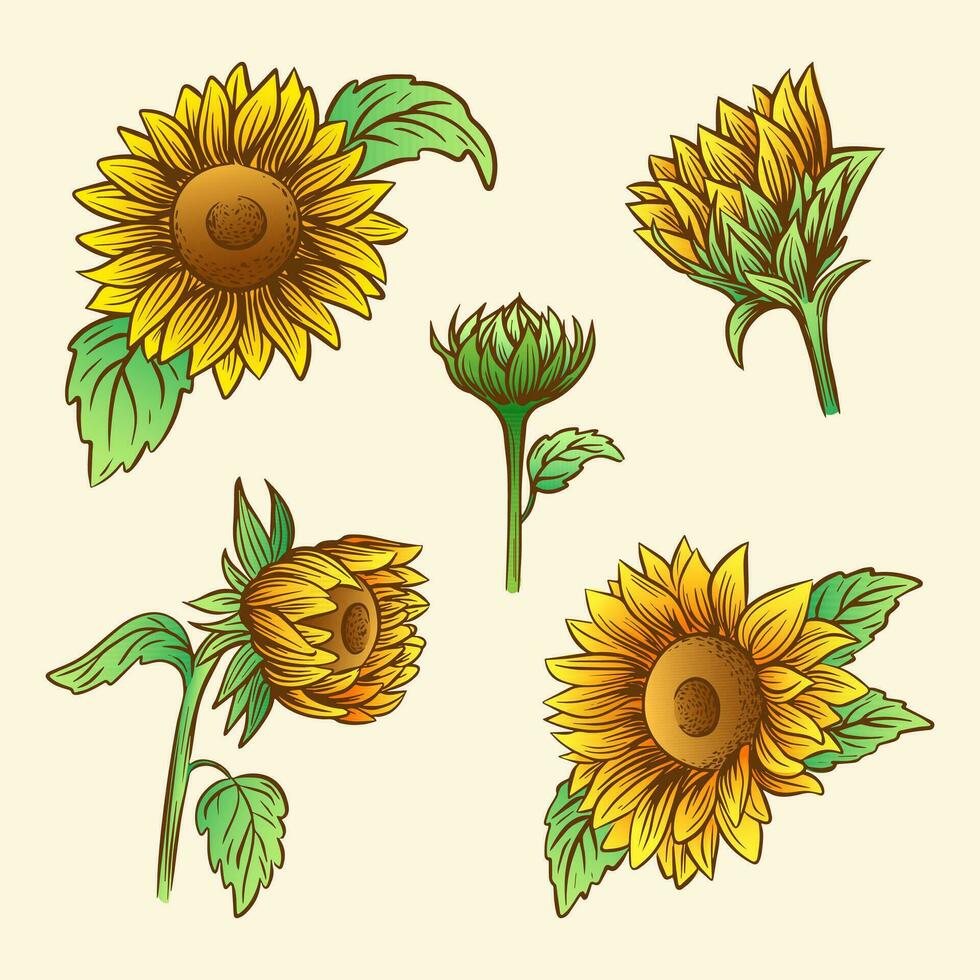 Hand gezeichnet Vektor Illustration von Sonnenblumen im skizzieren Stil