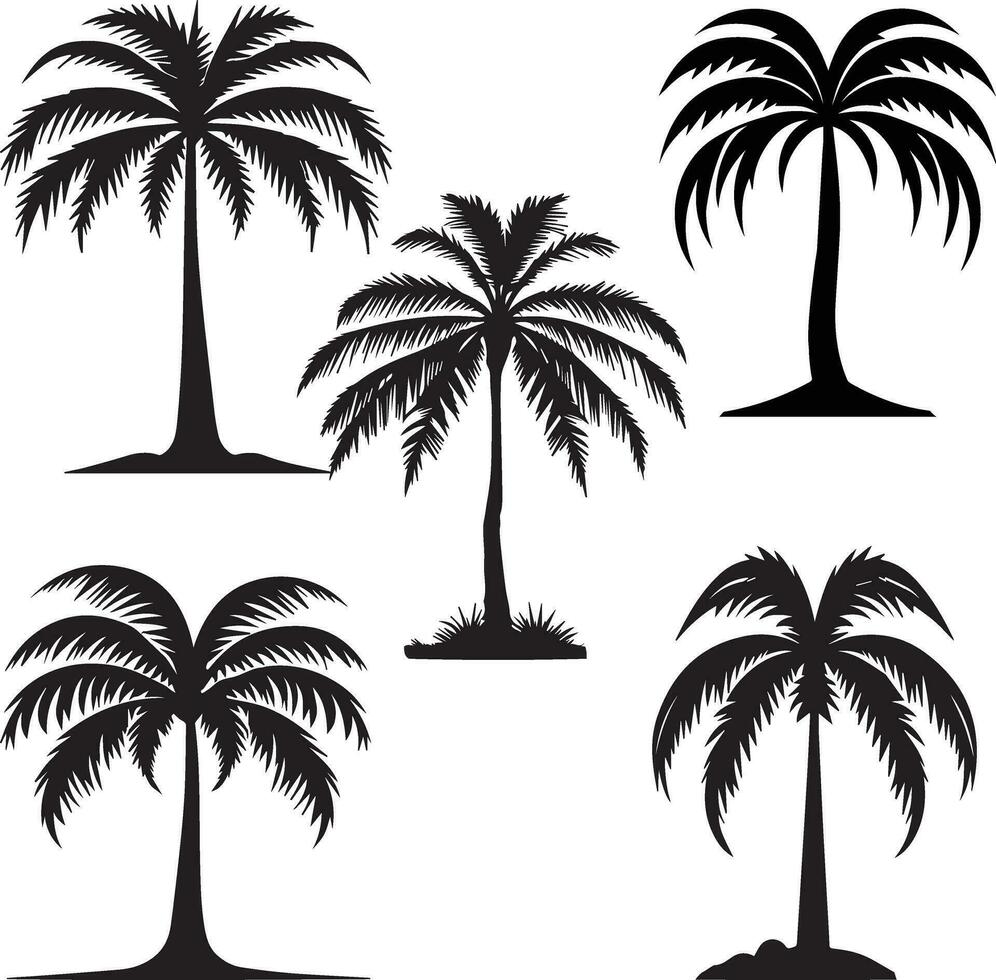 plam Baum Silhouette Vektor Symbol und Illustration