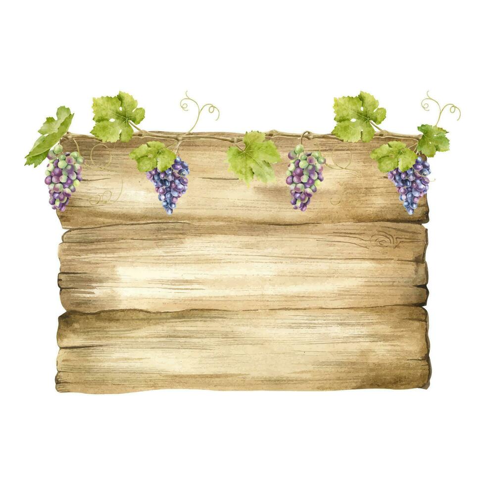 hölzern Schilder zum Traube Plantagen, Weinberge. Holz Tafel mit Trauben von Trauben und Blätter. Schild mit Weinrebe. isoliert Aquarell Illustrationen. zum Postkarten, Marketing, Einladungen. vektor