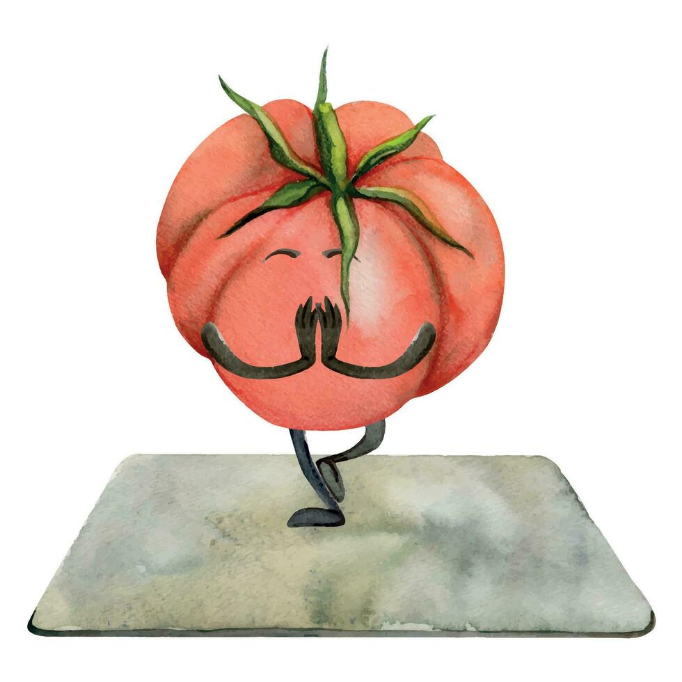 Hand gezeichnet Aquarell süß Tomate Charakter tun Yoga Dehnen Asana ausüben. Fitness Gesundheit. Illustration isoliert Komposition, Weiß Hintergrund. Design zum Poster, drucken, Webseite, Karte, Fitnessstudio vektor
