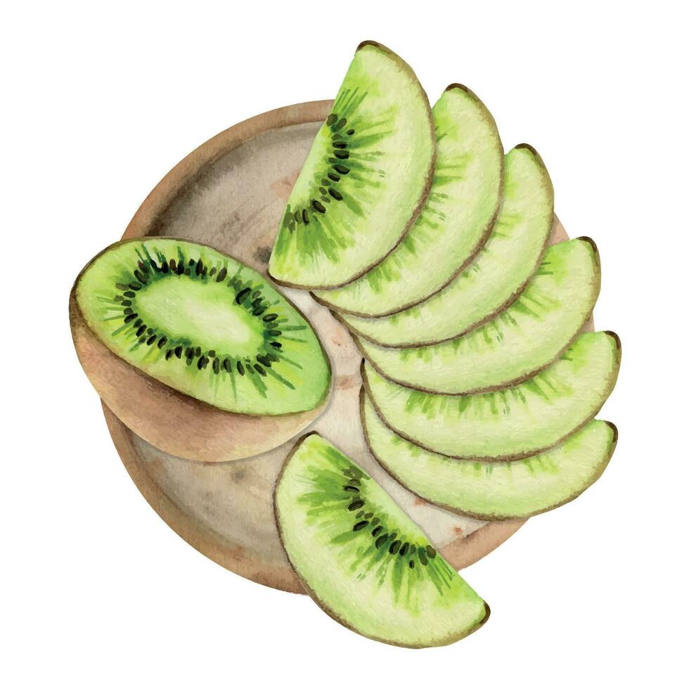 hand dragen vattenfärg grön kiwi frukt för diet och friska livsstil, sallad vegan rå matlagning. illustration sammansättning isolerat på vit bakgrund. design för affisch, skriva ut, hemsida, kort, meny vektor