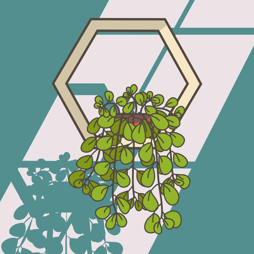 Pilea-Pflanze-Abbildung. hängende Pflanzen-Vektor-Illustration. schöne Pilea-Pflanzenillustration als Wanddekoration. vektor
