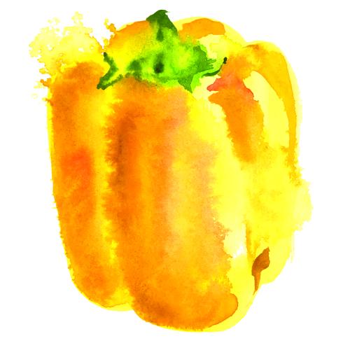 gelbes Gemüsepaprika-Aquarell vektor