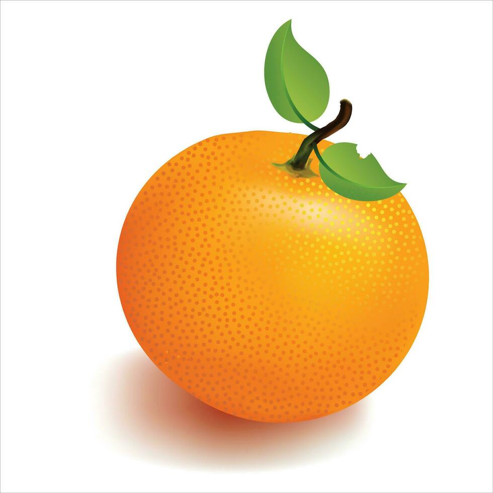 saftig Orange mit Grün Blätter isoliert auf Weiß Hintergrund. ganze Orangen aussehen 3d realistisch. gültig zum Obst Saft Anzeigen. Vektor Illustration.