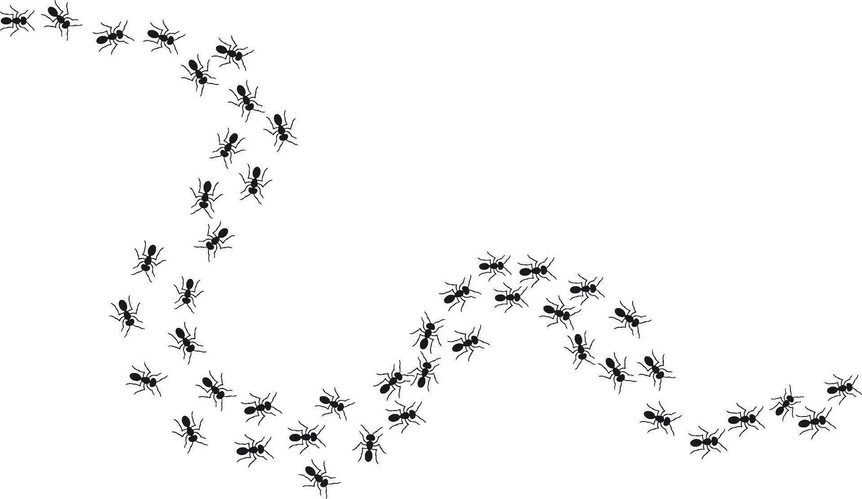 ein Pfad von Ameisen Laufen hoch. Aussicht von über. Ameise Vektor Pfad.