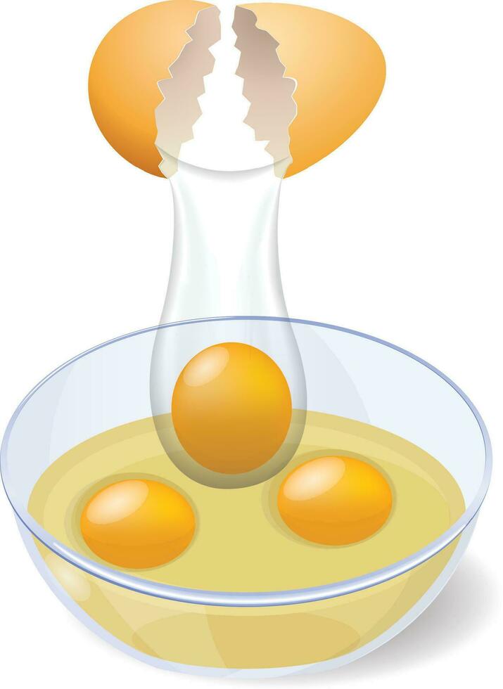 realistisch Bauernhof Hähnchen Ei gebrochen, Schraffur Küken Stufen. geknackt Eier mit Eierschale Stücke. 3d fragil Ei brechen im Inkubator Vektor Satz.