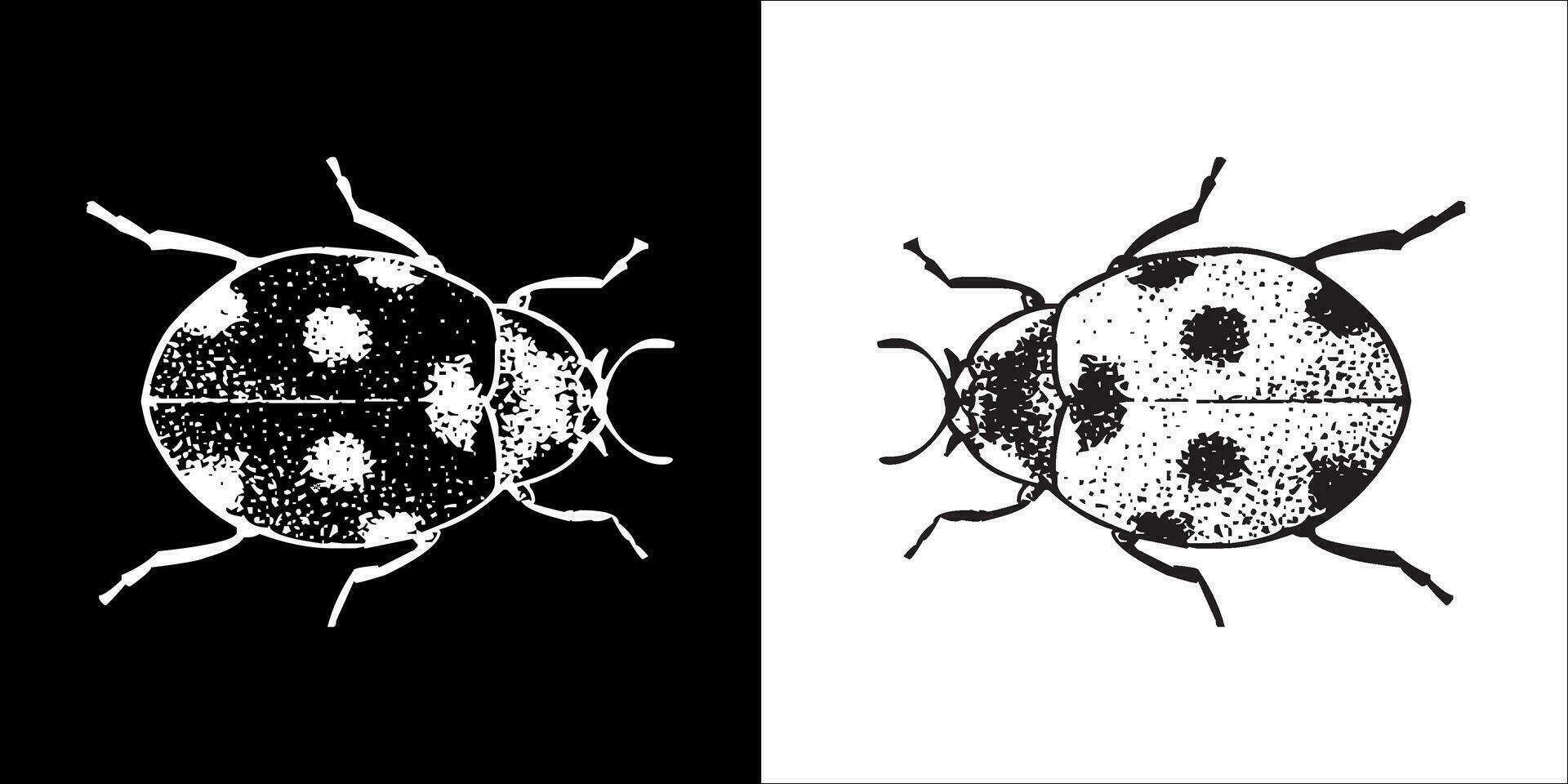 Illustration Vektor Grafik von Insekt Symbol