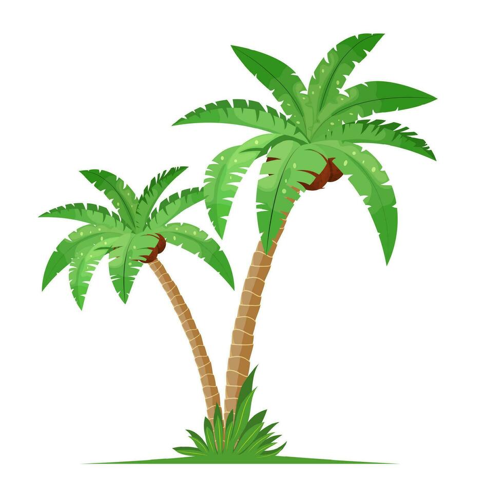 zwei Kokosnuss Palme Bäume mit Gras vektor