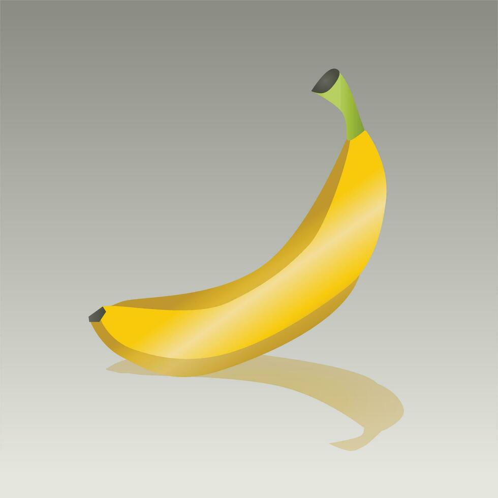 frisch reif Banane Vektor und Illustration