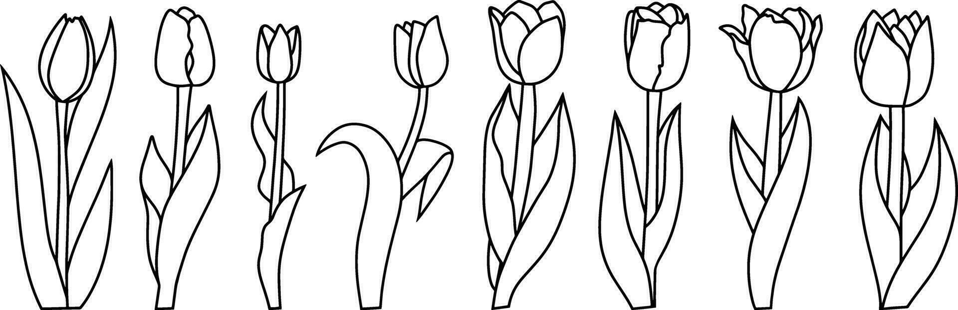 översikt tulpan färg sida bok klotter blomma hand dragen vektor illustration