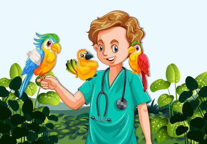 Eine männliche Tierarztkrankenschwester und Papageien vektor