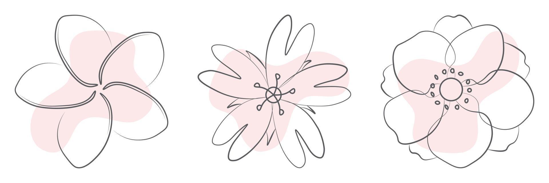 Illustration von Blumen auf weißem Hintergrund vektor