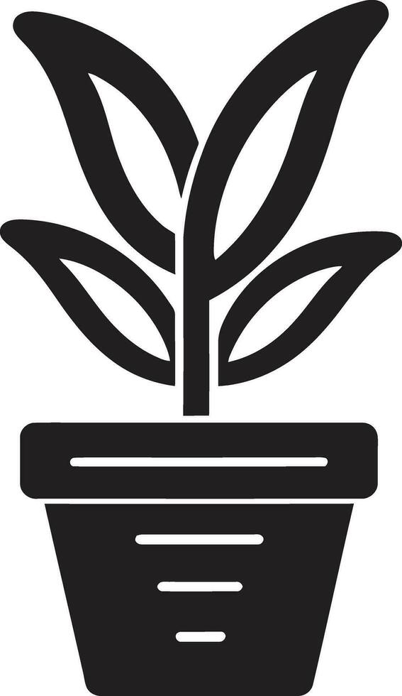 botanisk skönhet växt emblem design vintergröna elegans ikoniska växt vektor