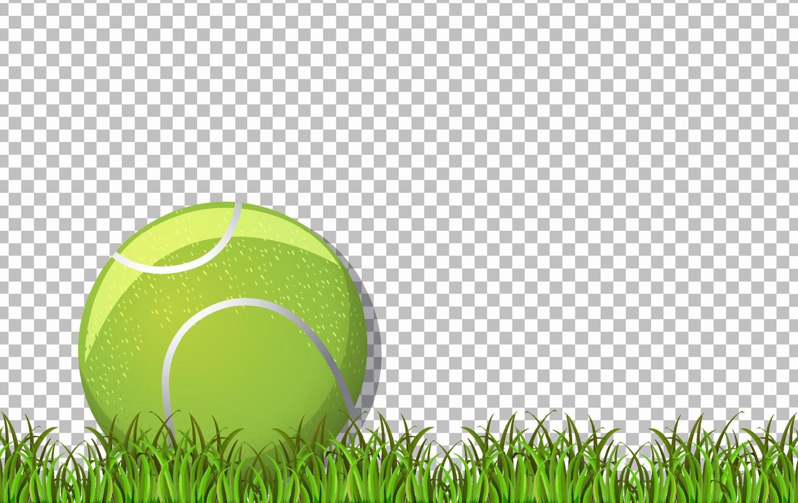 Tennisball und Gras auf Gitterhintergrund vektor