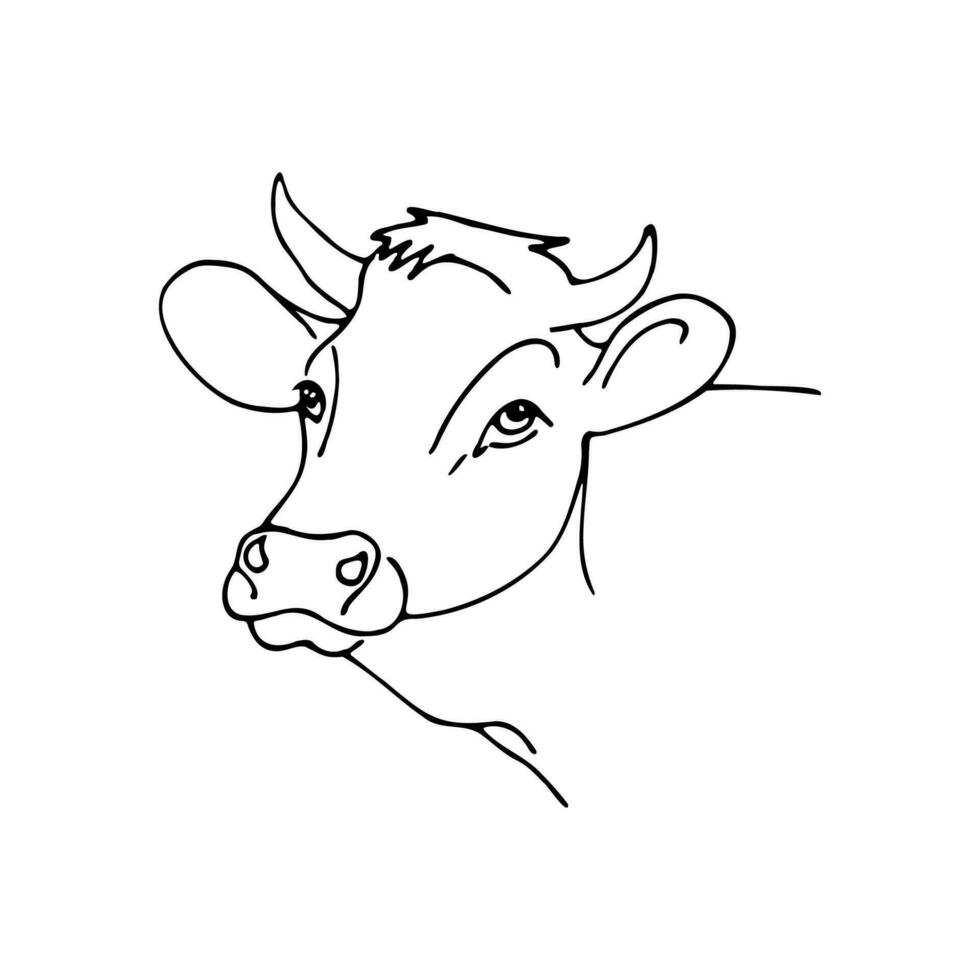 Vektor Illustration Hand gezeichnet im Karikatur Stil. linear Zeichnung von ein Kuh Kopf auf ein Weiß Hintergrund. schwarz und Weiß Illustration Porträt von ein Kuh.
