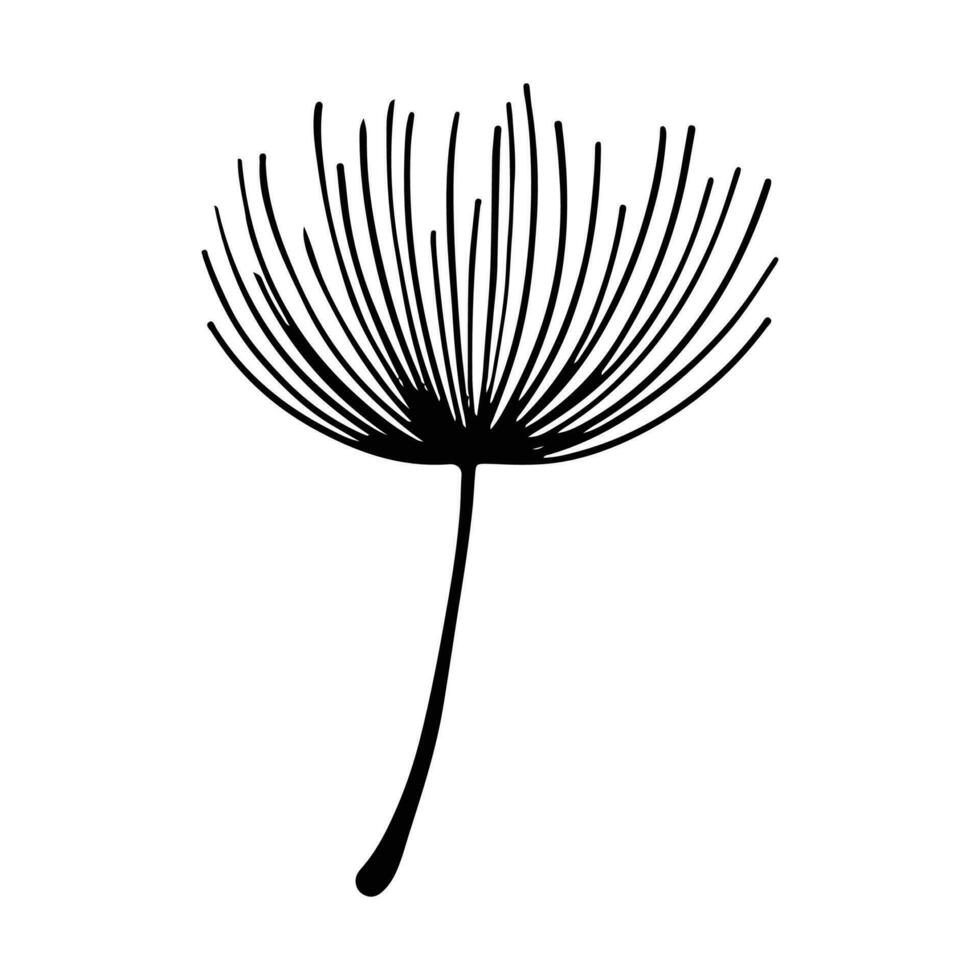 maskros blomma silhuetter. vår säsong blomning blowball blommor klotter vektor illustration. maskros fluffig natur silhuett