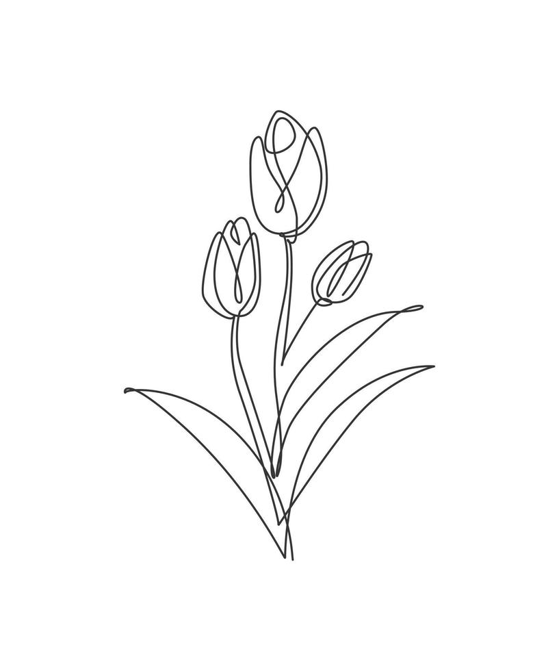 eine einzige Strichzeichnung Schönheit Tulpe Blume Vektor-Illustration. minimaler tropischer Blumenstil, romantisches Konzept der Liebe für Poster, Wanddekordruck. modernes Grafikdesign mit durchgehender Linie vektor