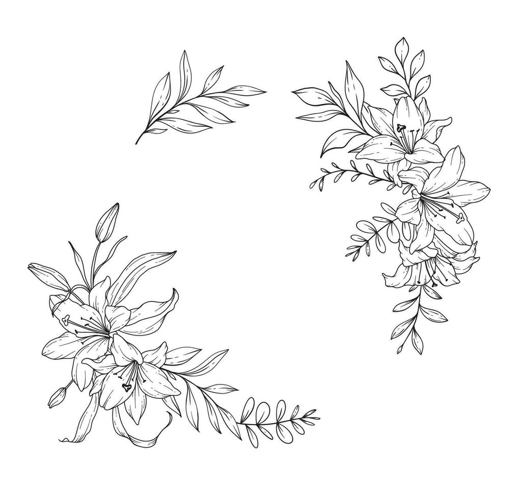 Lilie Linie Zeichnung. schwarz und Weiß Blumen- Rahmen. Blumen- Linie Kunst. fein Linie Lilie Illustration. Hand gezeichnet Gliederung Blumen. botanisch Färbung Buchseite. Hochzeit Einladung Blumen vektor