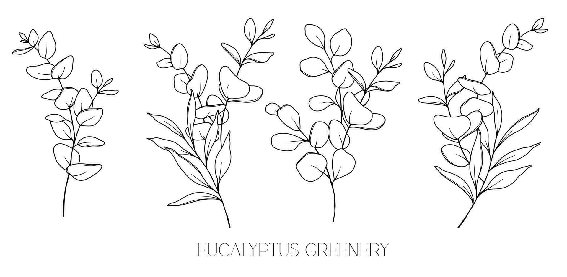 Eukalyptus Linie Zeichnung. schwarz und Weiß Blumen- Blumensträuße. Blume Färbung Buchseite. Blumen- Linie Kunst. fein Linie Eukalyptus Illustration. Hand gezeichnet Grün. botanisch Färbung. Hochzeit Einladung Grün vektor