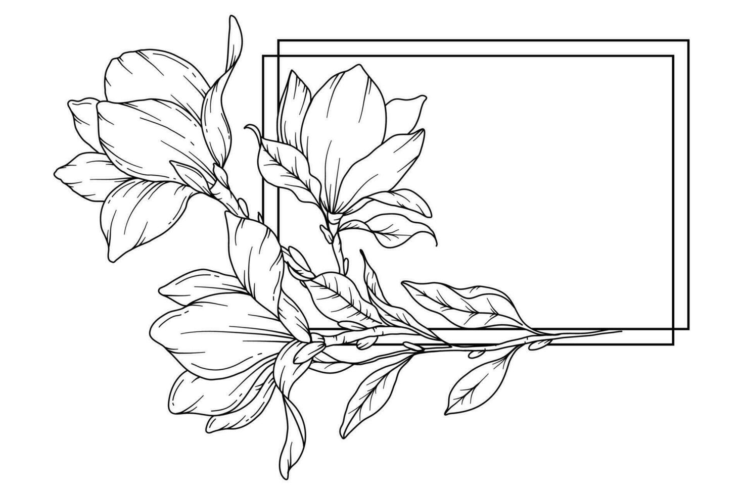 magnolia linje teckning. svart och vit blommig ramar. blommig linje konst. bra linje magnolia illustration. hand dragen översikt blommor. botanisk färg sida. bröllop inbjudan blommor vektor