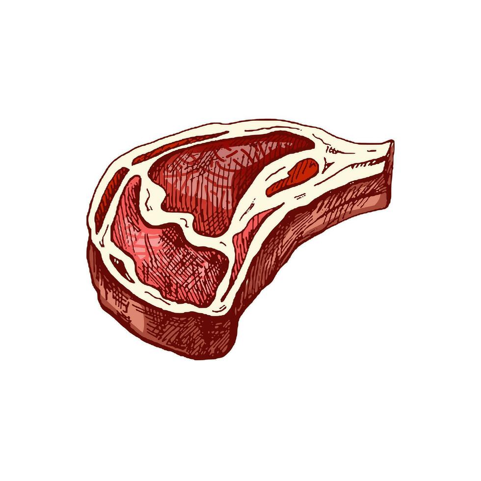 organisch Lebensmittel. Hand gezeichnet farbig Vektor skizzieren von Rindfleisch Steak, Stück von Fleisch. Gekritzel Jahrgang Illustration. Dekorationen zum das Speisekarte von Cafés. graviert Bild.