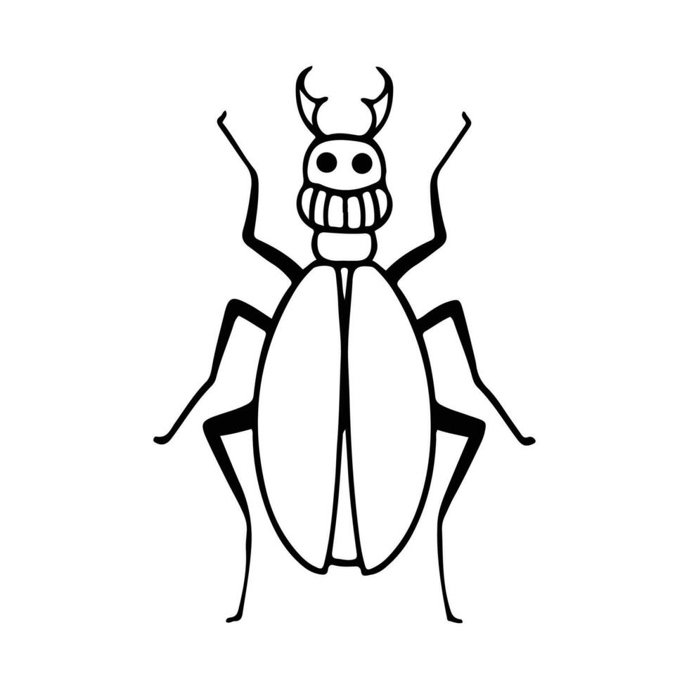 ritad för hand insekt klotter illustration. insekt eller insekt tecknad serie i linje stil isolerat i vit bakgrund. insekt tecknad serie för färg bok vektor