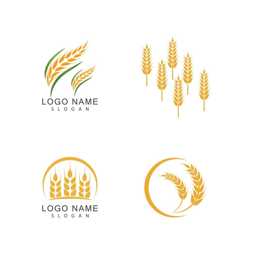 Landwirtschaft Weizen Vektor Icon Design