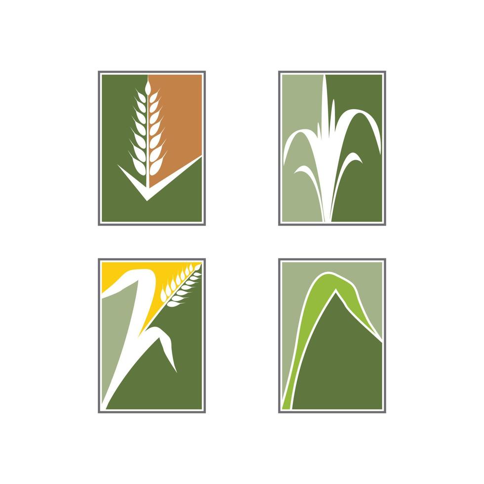 Landwirtschaft Weizen Vektor Icon Design