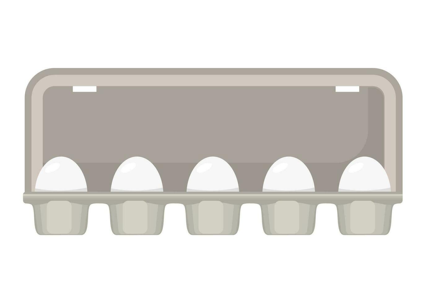 ägg låda med vit färsk kyckling ägg. vektor