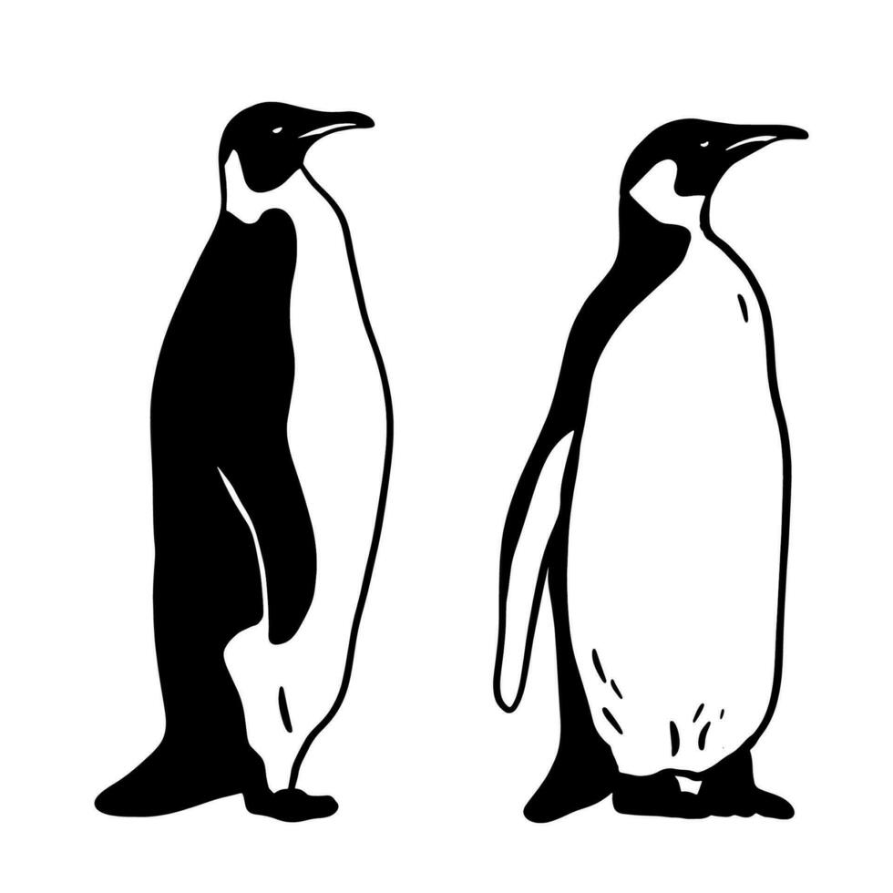 kung pingvin uppsättning. svartvit vektor illustration. realistisk polär djur-