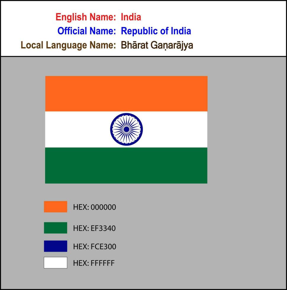 Indien flagga med hex kodad vektor