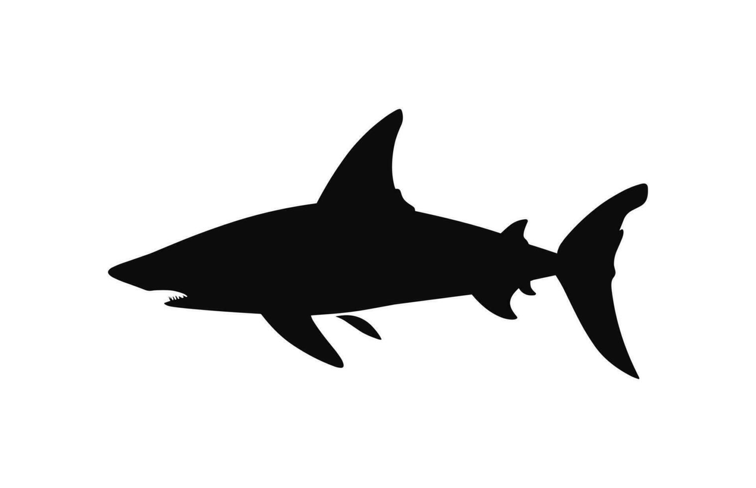 en hammarhaj haj silhuett vektor isolerat på en vit bakgrund