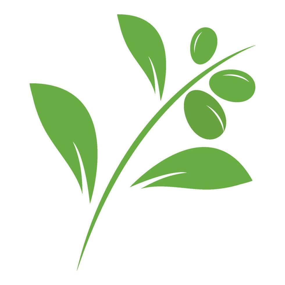 Olive Logo vektor