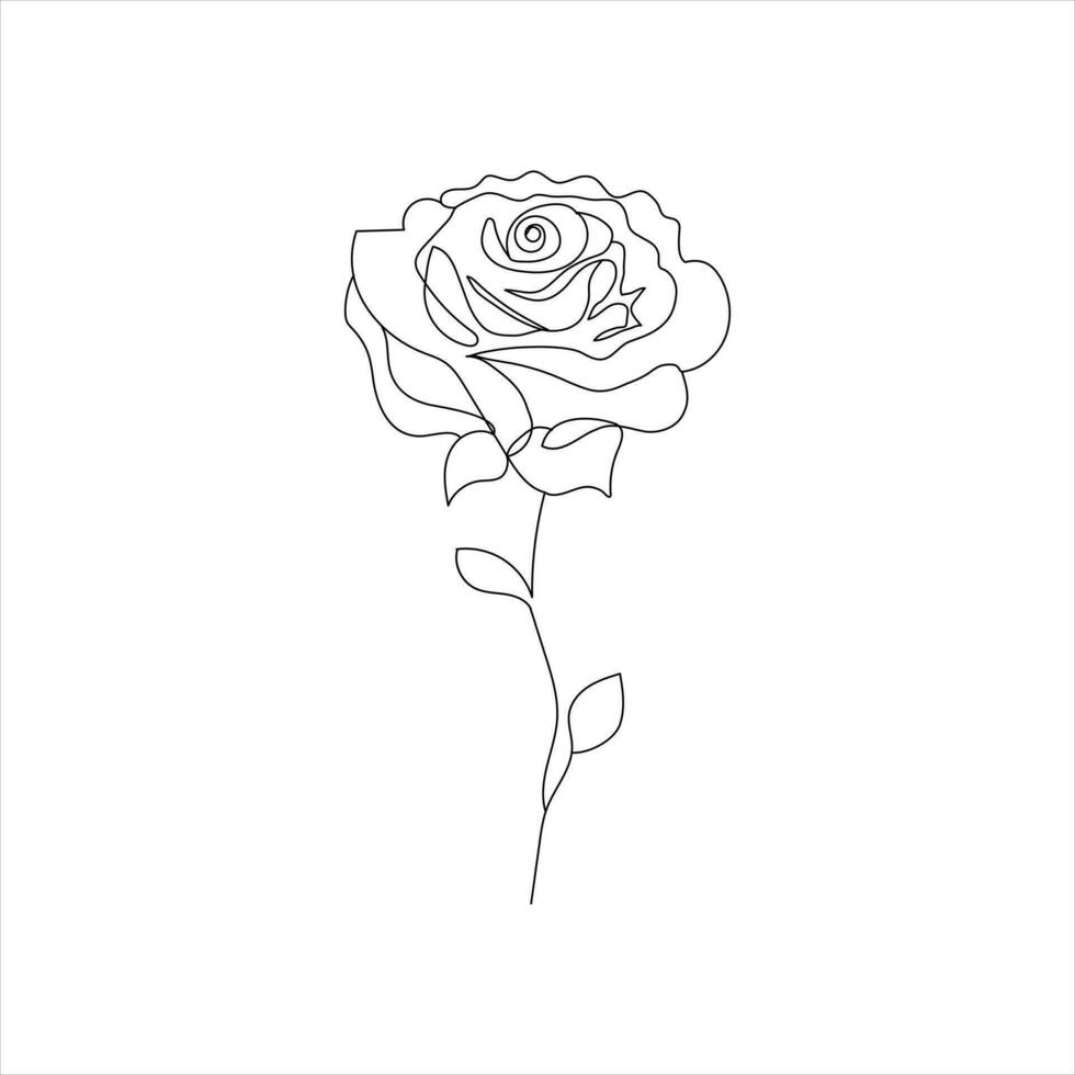 Rose einer kontinuierlich Linie Zeichnung. Blumen- Blume natürlich Design. Grafik, skizzieren Zeichnung. Rose vektor