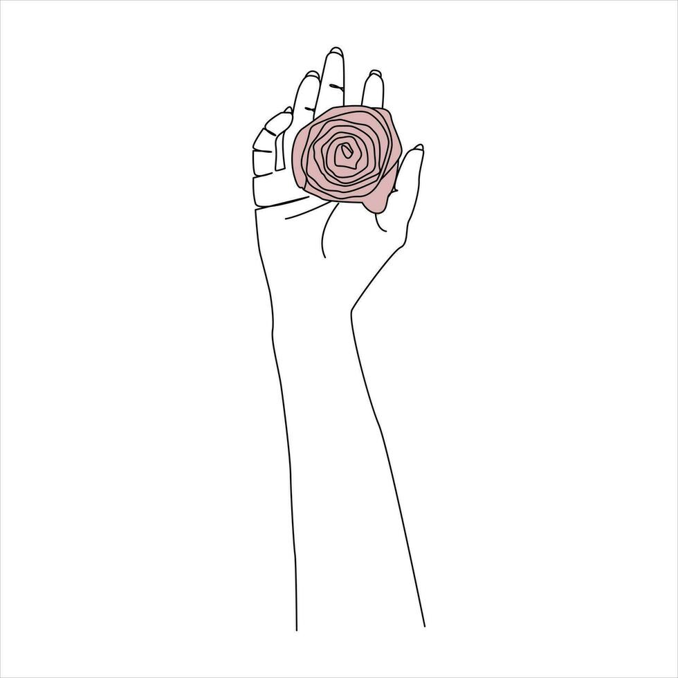 Rose Blume kontinuierlich Linie Zeichnung von ein Hand halten. schön Rose Blume einfach Linie Kunst mit aktiv streicheln vektor