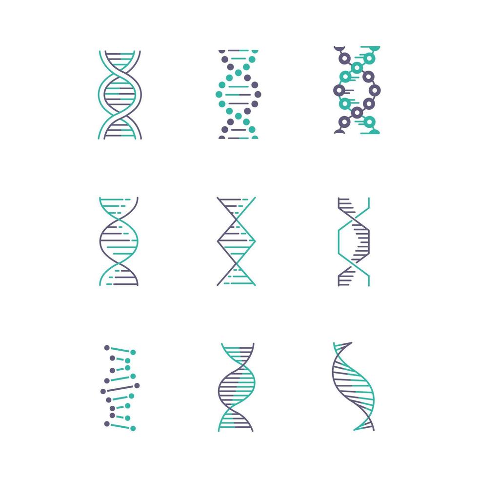 DNA-Spiralen violette und türkisfarbene Farbsymbole gesetzt vektor