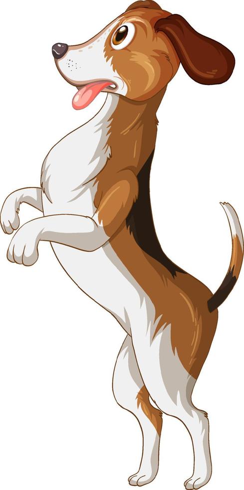 Beagle-Hund-Cartoon auf weißem Hintergrund vektor