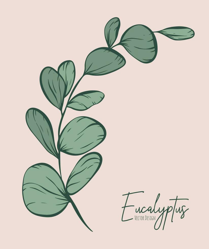 botanisk elegant linje illustration av en eukalyptus löv gren för bröllop inbjudan och kort, logotyp design, webb, social media och affisch, mall, annons, skönhet och kosmetisk industri. vektor