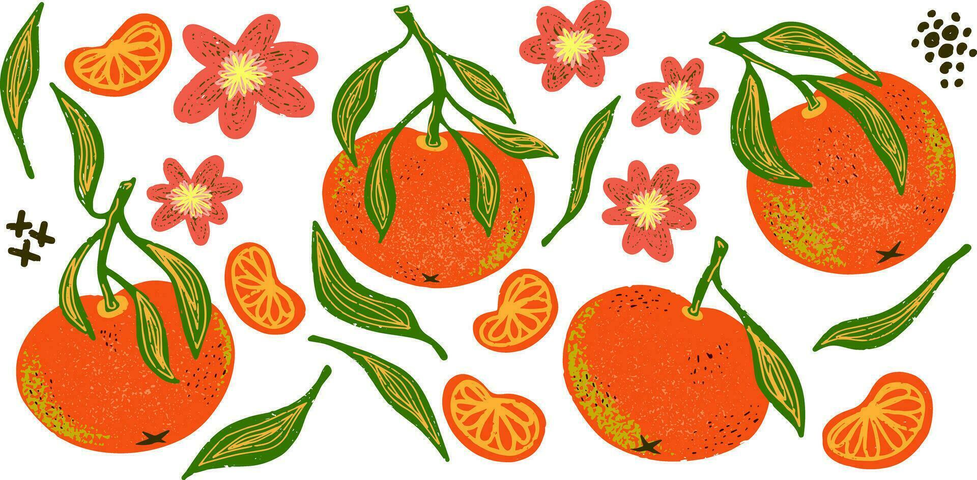 en grupp av apelsiner och blommor är visad vektor