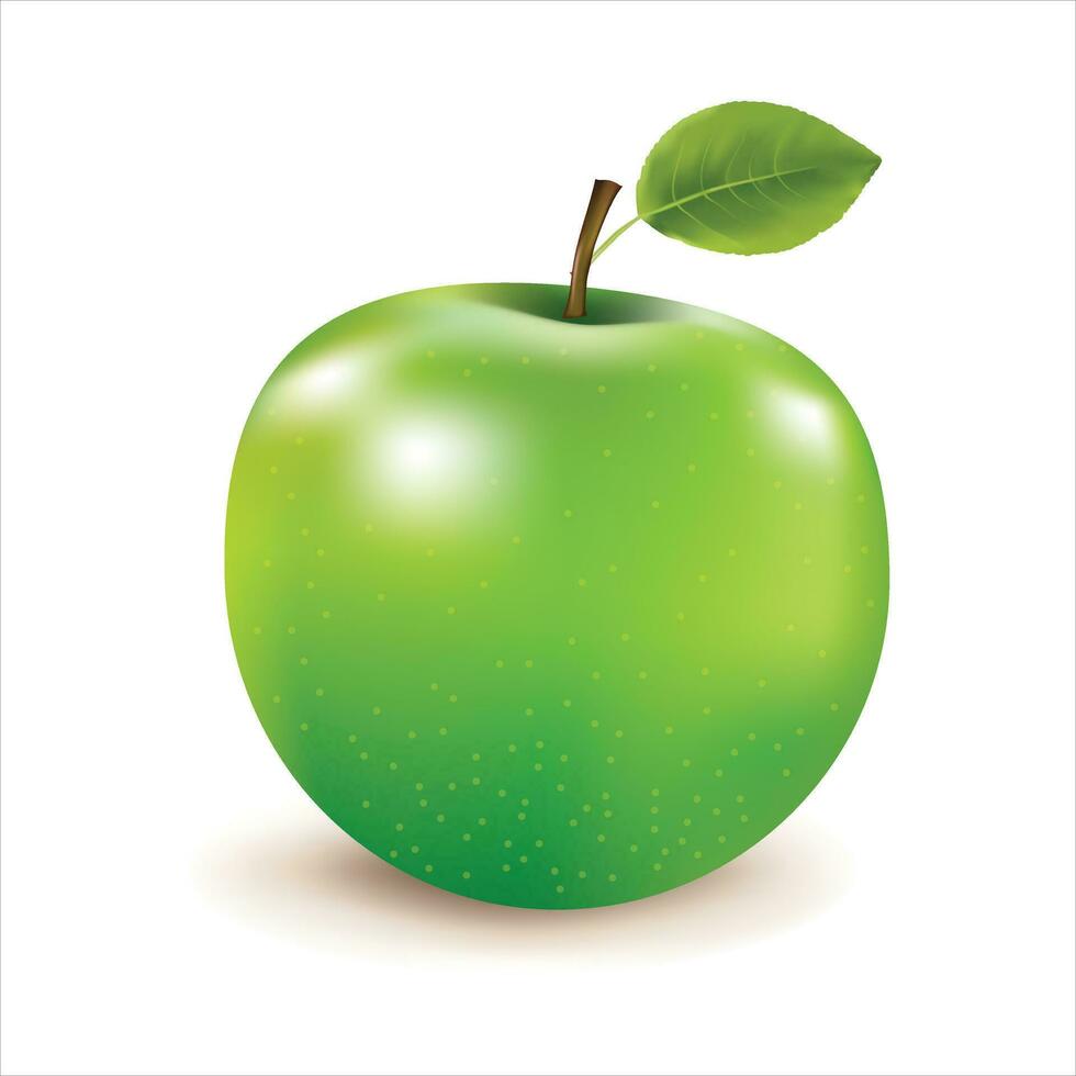 3d realistisch ganze Grün Apfel, frisch Grün Apfel im echt Form. isoliert Weiß Hintergrund vektor