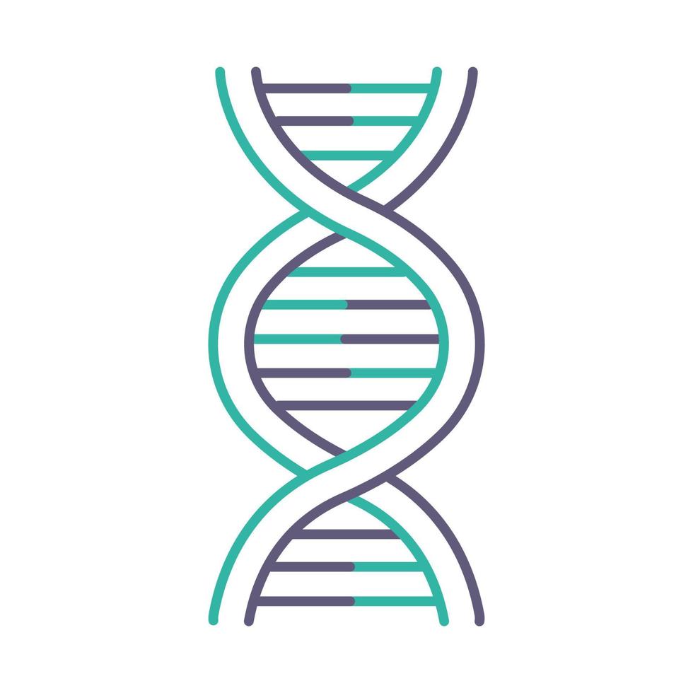 dna helix violett och turkos färgikon vektor