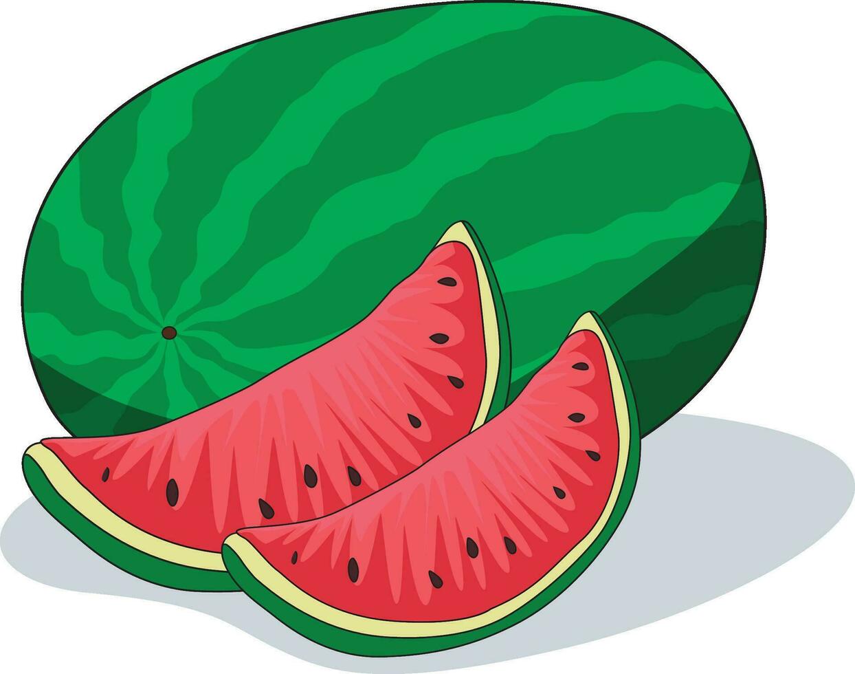 köstlich Wassermelone und geschnitten Scheiben von es vektor